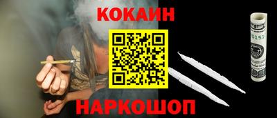 крисы Гатчина