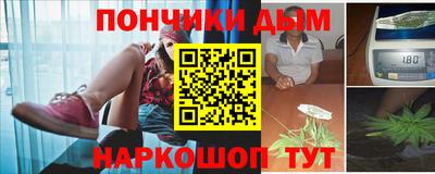 крисы Гатчина