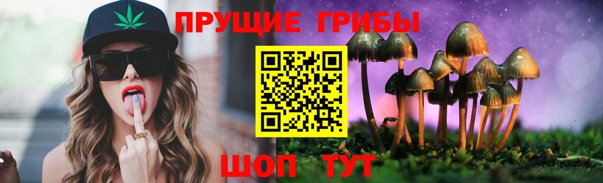 Галлюциногенные грибы Cubensis  Вход с VPN  Малгобек 